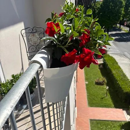 Lägenhet La Casa Di Nana' *